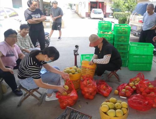 任城区驻村第一书记和工作队范庄村工作队 搭建农超对接平台 助力农产品销售